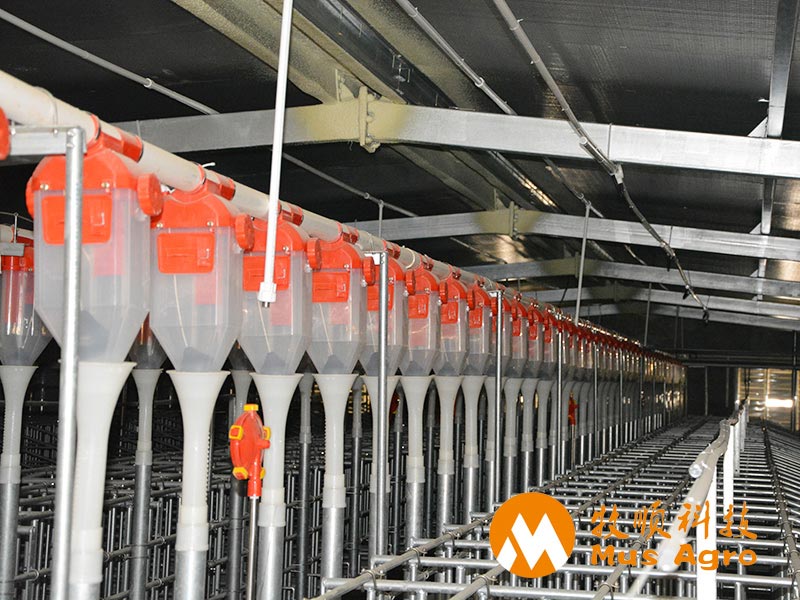 auger conveyors system