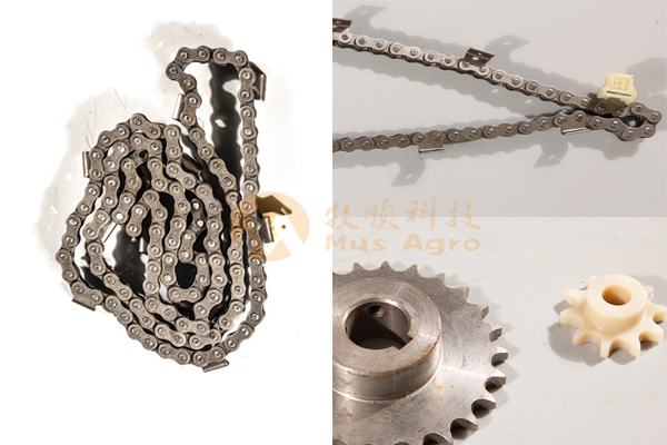 Chians and gears for egg collector